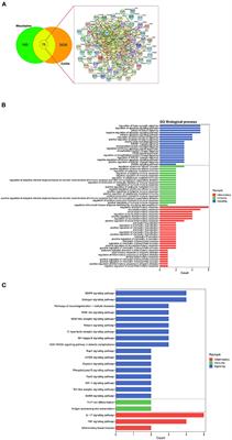 Integrated Analysis Reveals the Targets and Mechanisms in Immunosuppressive Effect of Mesalazine on Ulcerative Colitis